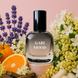 Gabi Mood - фужерний, пряний, цитрусовий аромат у стилі This is Not Gaba від Hormone Paris GM30 фото 1