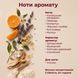 Gabi Mood - фужерний, пряний, цитрусовий аромат у стилі This is Not Gaba від Hormone Paris GM30 фото 5