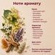June Air - деревний, мускусний, квітковий аромат у стилі Tilia від Marc-Antoine Barrois Tili30 фото 6